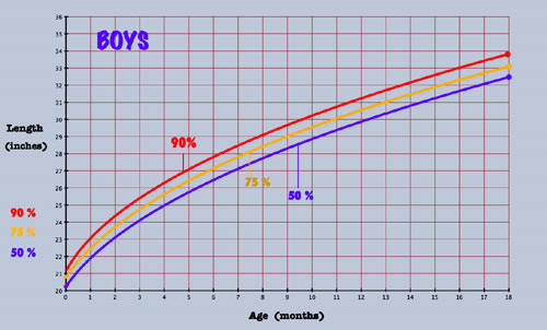 Baby Growth Chart And Percentiles To See What Is Tall For A Baby 